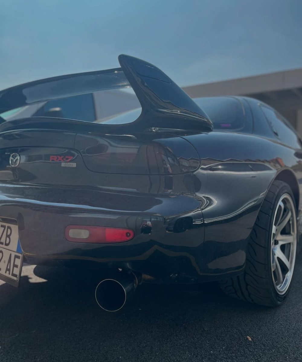 SnapInsta.to_490095300_17856734550405165_5862897281925591729_n